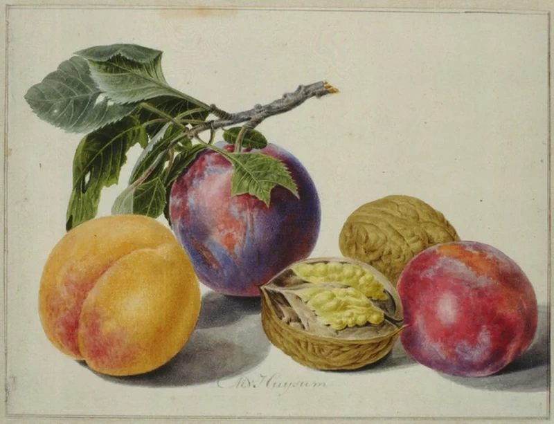Frutta